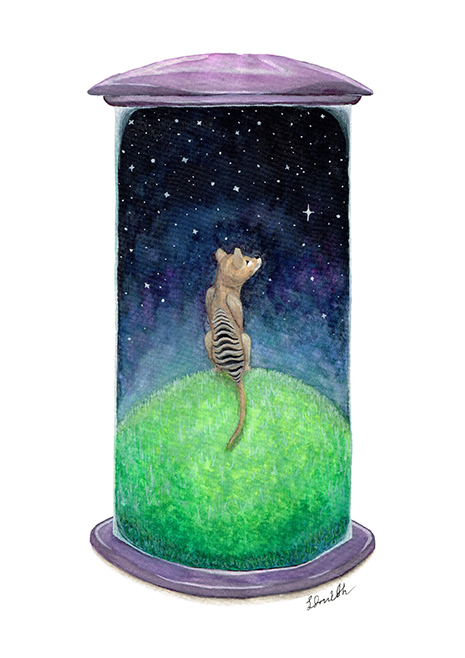 Thylacine print by Lucy Smith