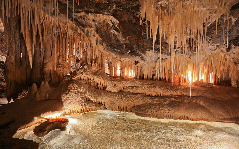 Mole Creek Caves.