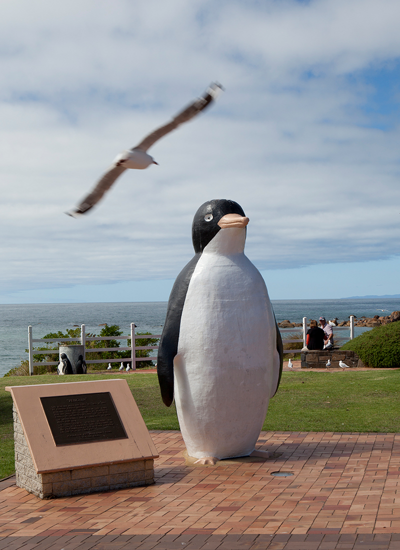Penguin statue on the beach in Penguin, Tasmania.