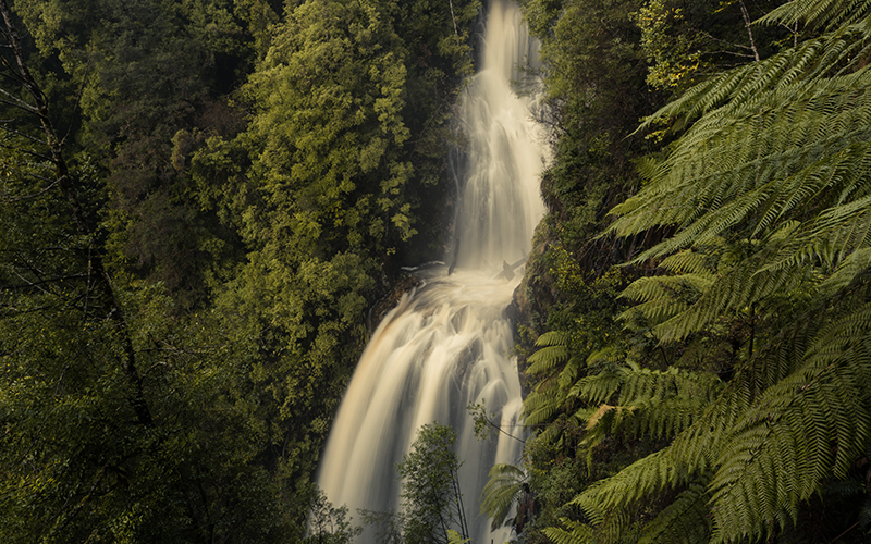 Philospher falls flowing well with lush greenery surrounding.