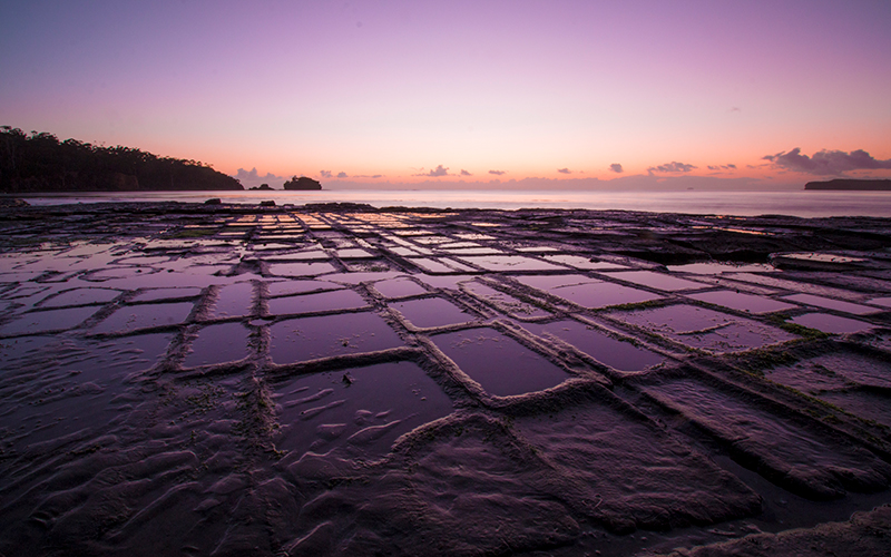 Tessellated Pavement at dusk.