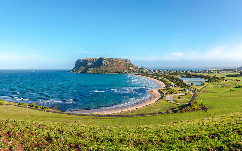 The Nut at Stanley.
