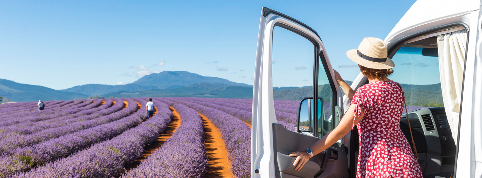 Female in Apollo campervan overlooking lavender field
