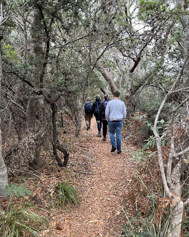 Walking through the Australian bush