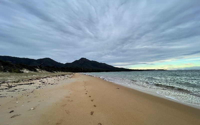 Promise Bay water and beach view