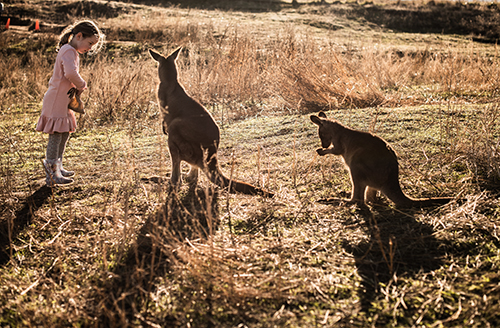 Car Insurance Tasmania Save 15 With Budget Direct Car Insurance Tasmania Save 15 With Budget Direct
