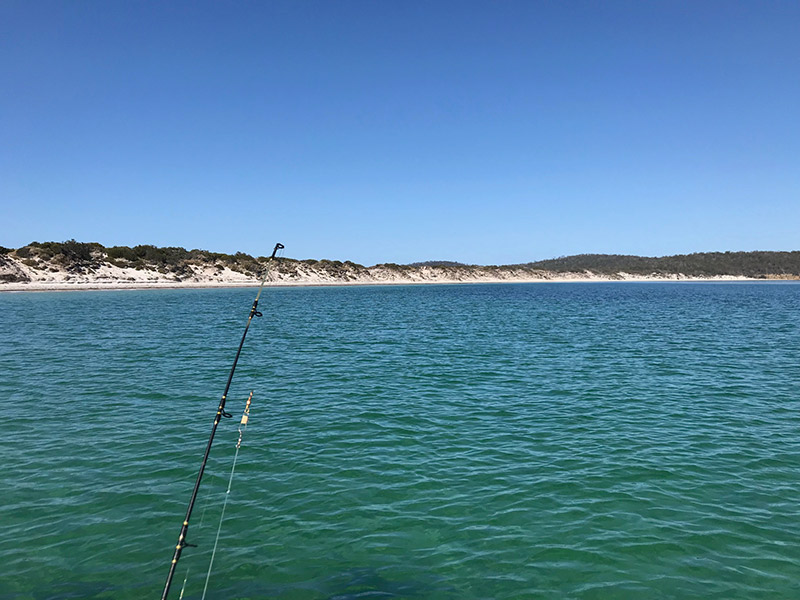 Dropping a line in the ocean.