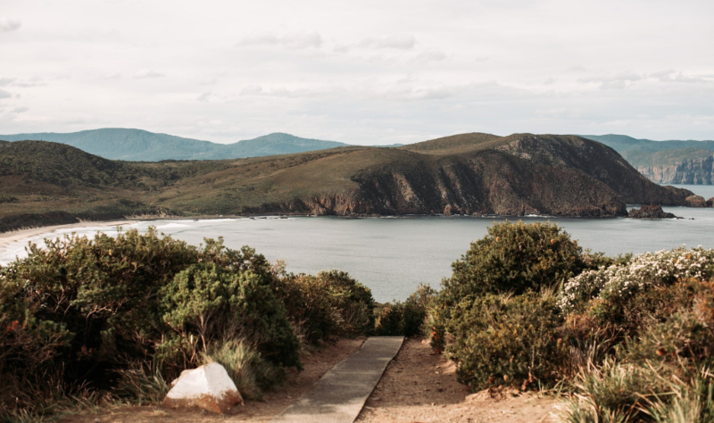 Cloudy Bay