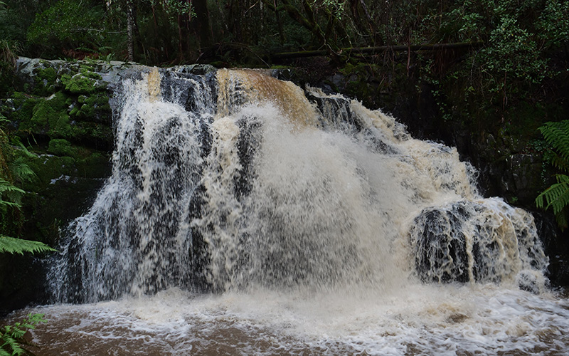 Lilydale Falls