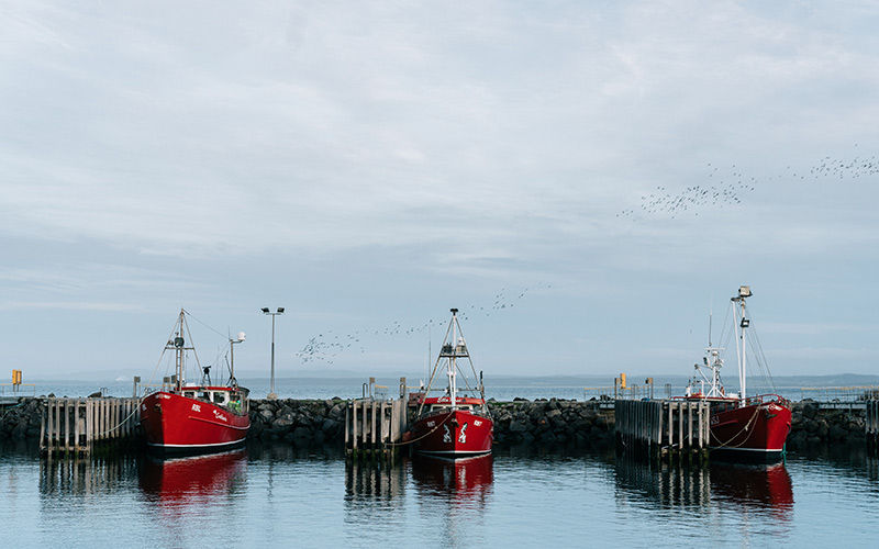 Stanley fishing fleet